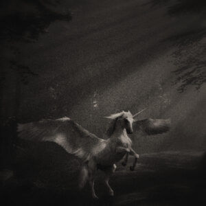Picture of a unicorn with wings outstretched in the night woods. Source Pixabay.com.