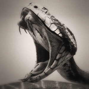Image of a snake with mouth open, fangs visible, about to strike. Image by P. Schreiner from Pixabay.com.