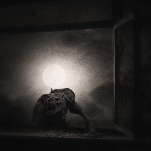 Image of a werewolf clawing their way through a window with the moon in the background. Image by Jim Cooper from Pixabay.com.