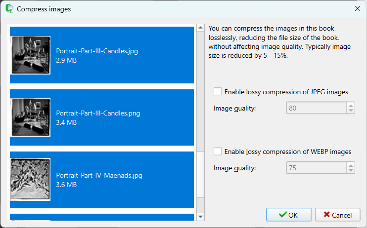 Clean EPUB. Calibre Image Lossless Compression window.