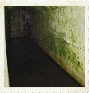 Picture of a flooded tunnel from World War II fortifications leading to a search light. Mould is growing alone the walls, and a reflection of the back wall is visible in the water. 