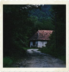 Picture of a run down single level home seen from down a lane in a wooded area. Image by Dids on Pexels.