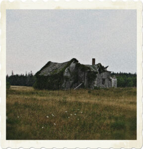 Picture of a run down farmhouse, the roof is sagging, the walls are weather worn, ivy is growing everywhere, and some areas have collapsed.