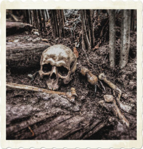 Picture of a skull and bones spread throughout a wooded area. Image by Rudy and Peter Skitterians from Pixabay.