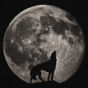 Picture of the moon with the silhouette of a wolf howling. Source Pixabay.com.