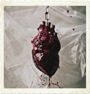 Picture of a heart cut out of the body, hanging on a chain, blood oozing off the organ onto a plastic sheet. Image by Arianna Jadé from Pexels.