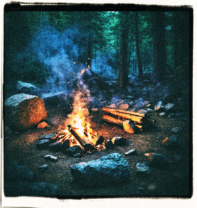 A campfire surrounded by stones burns bright in a dark forest. 