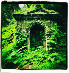 Picture of a forgotten crypt, where the vegetation and trees have overtaken the land. Door has rotted away, revealing some of the interior.