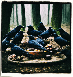 Crows feasting on a corpse. Scene and clothes appropriate for 16th century France.