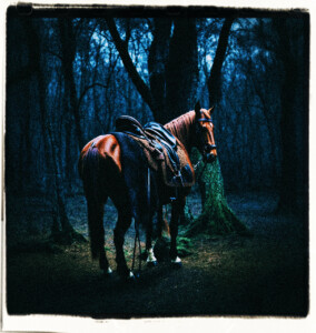 Picture of a saddled horse tied to a tree in the dark woods at night. Scene and clothes appropriate for 16th century France.