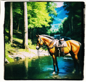 A wooded area with a creek crossing the terrain, mountains in the distance, and a dusty road is also visible A horse with saddle is drinking from the water. Clothes and background appropriate for 16th century France.