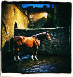 Horse standing besides a wall with a grate in its side to allow a stream to run through. Scene is at night. Clothes and background appropriate for 16th century France.