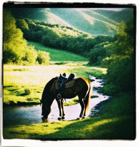 A wooded area with a creek and mountains in the distance. A horse with saddle drinking at the creek. Early morning, with the sun low in the horizon, and no clouds. Clothes and background appropriate for 16th century France.