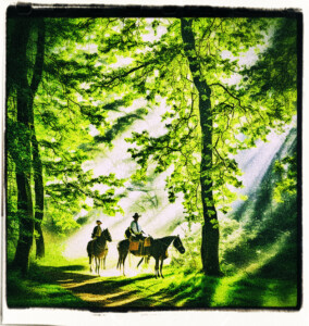 Picture of those on horseback travelling through a thick patch of woods with filaments of light filtering.