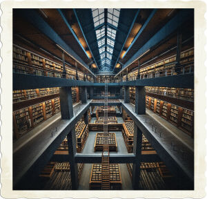 Picture of a library is designed to be a maze from high. An immense library where the shelves were so tall that there was a platform at the half-way mark along with ladders for each level. The ceiling itself was vaulted for additional strength. 